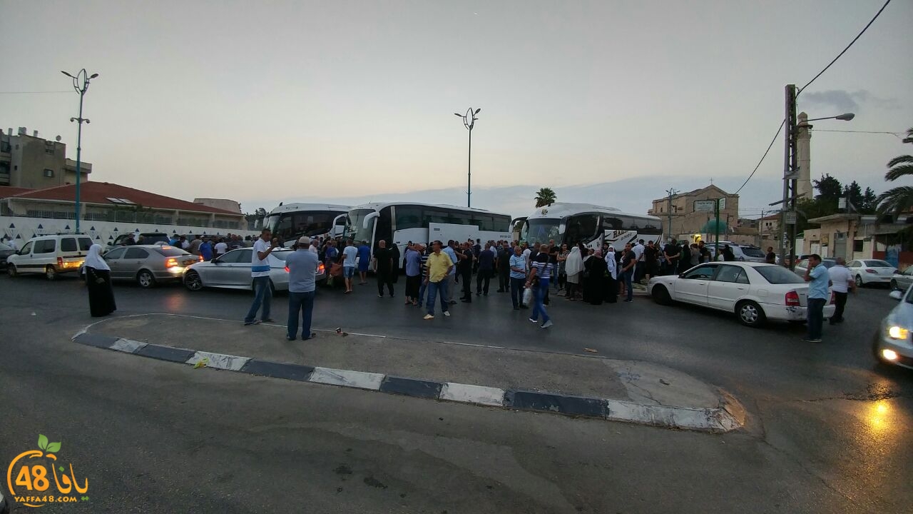 7ojaj ludi 3 (5).jpg